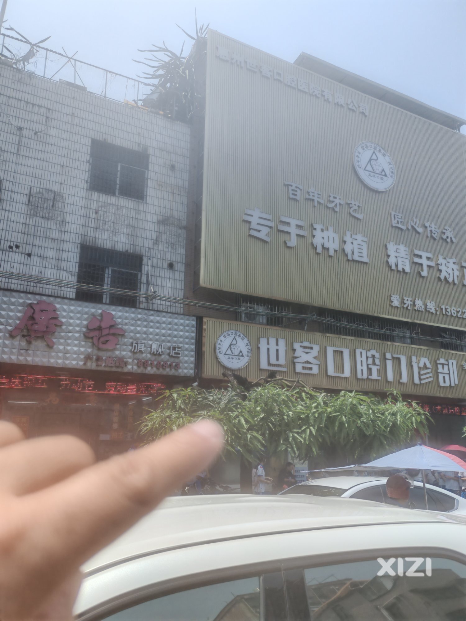 谁给了你如此权力？私自损坏绿化树！？