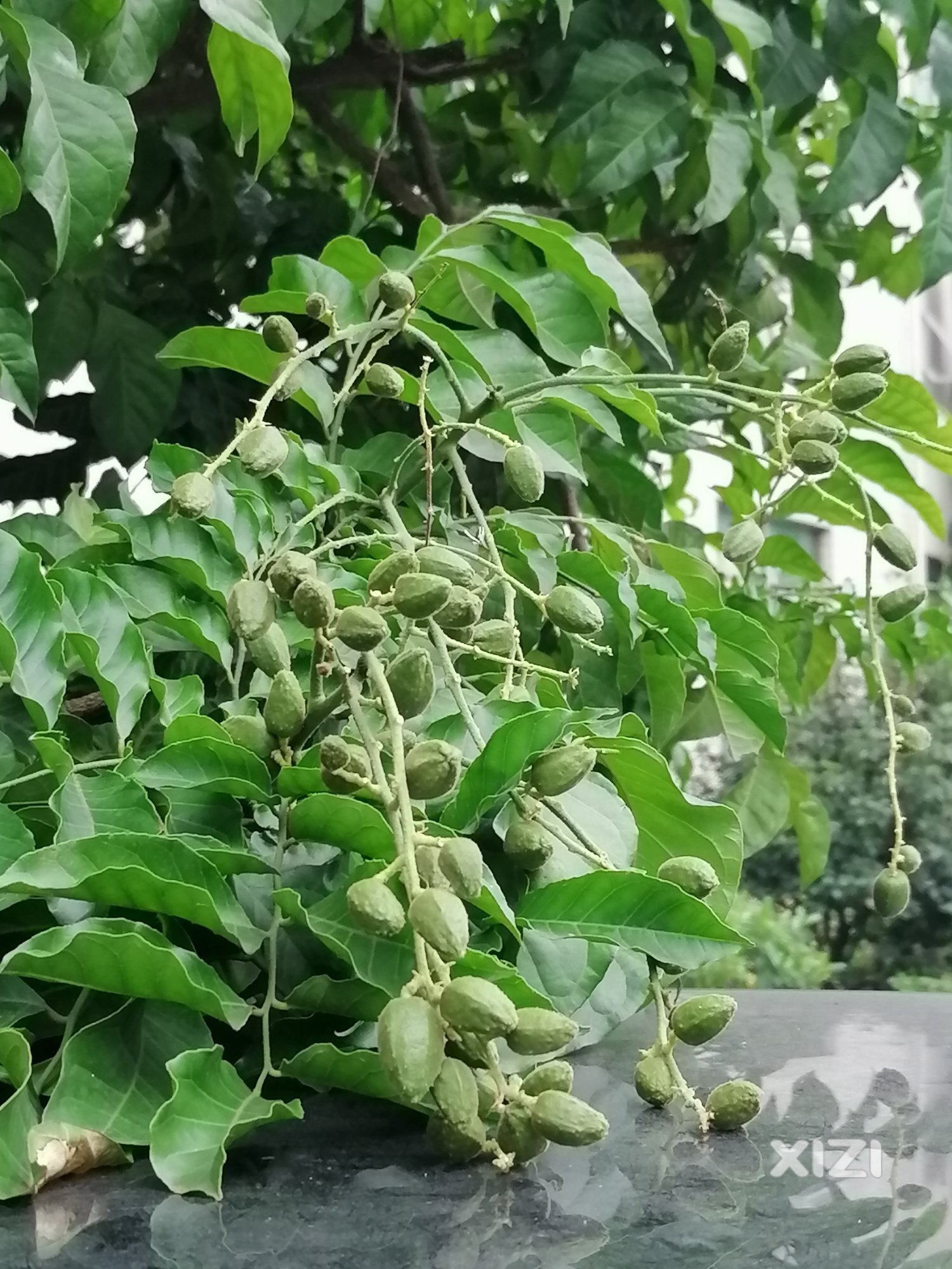 等