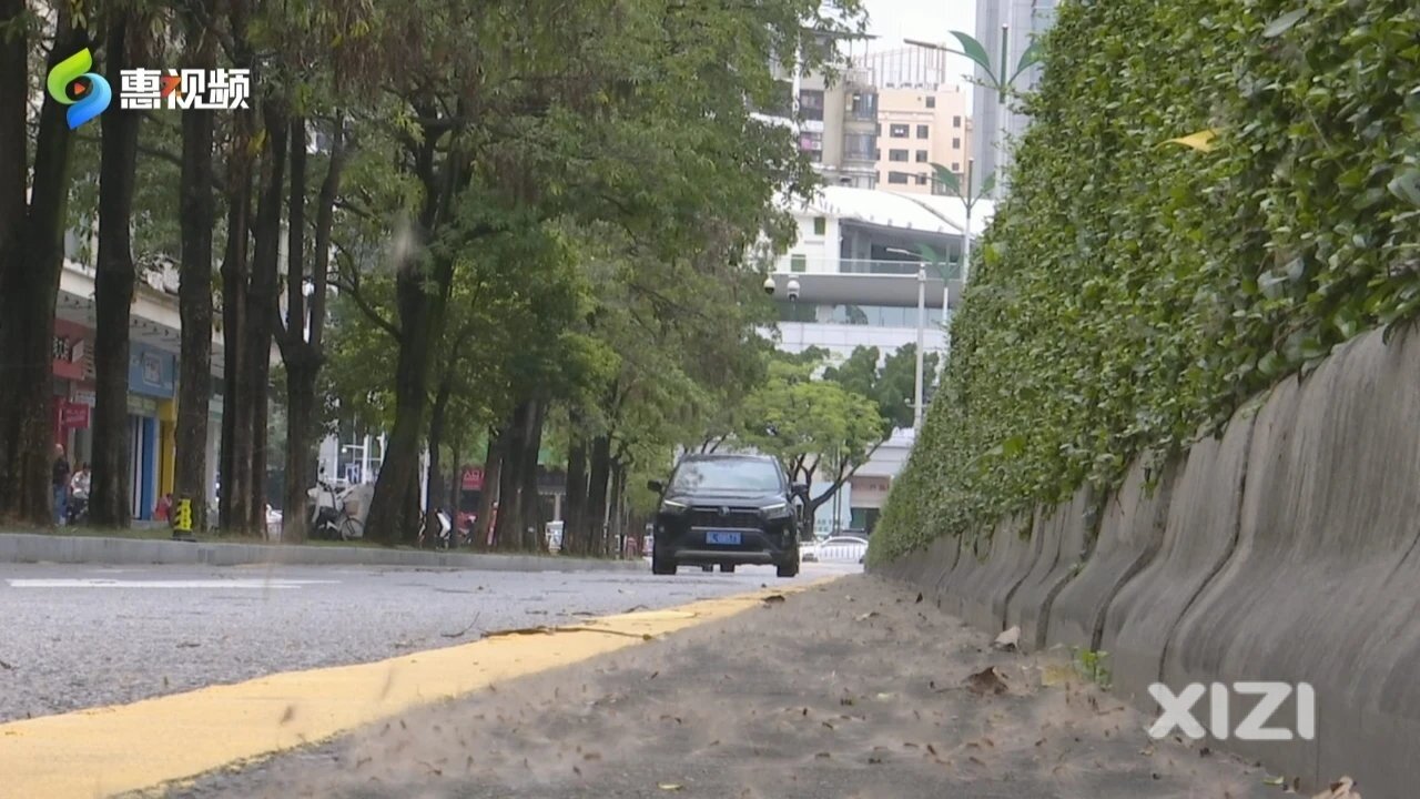 惠州街道“毛毛虫”飘飞？过敏性体质的市民注意！