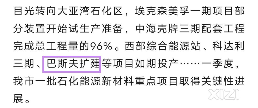 国内最大的巴斯夫项目在湛江。原来惠州也有的。建议继续扩大规模
