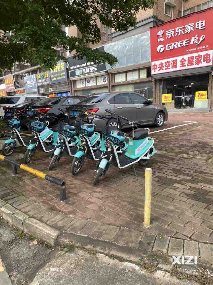 惠州小金口共享电动车