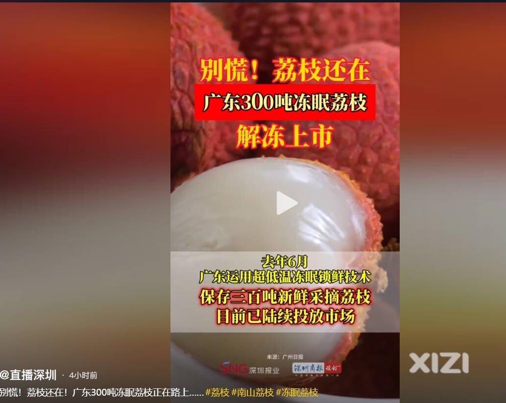 僵尸荔枝，被吹的天花乱坠