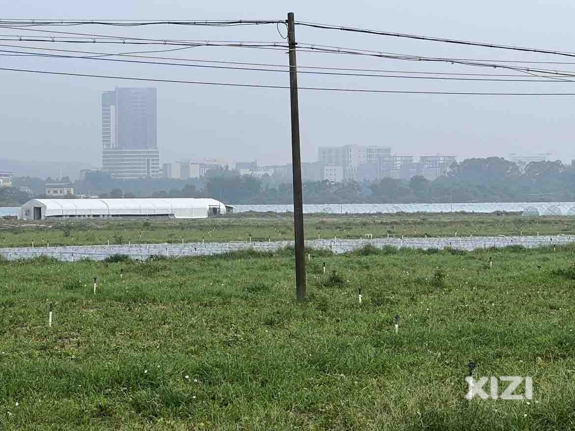 人类首次发现成千上万