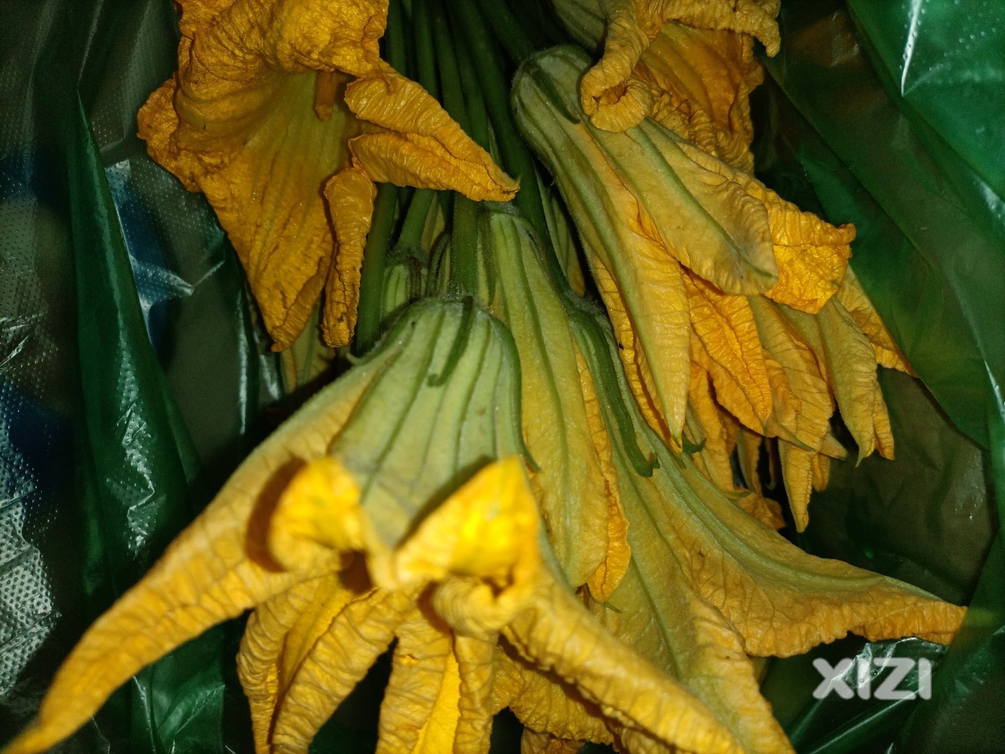 有喜欢吃这个花的吗