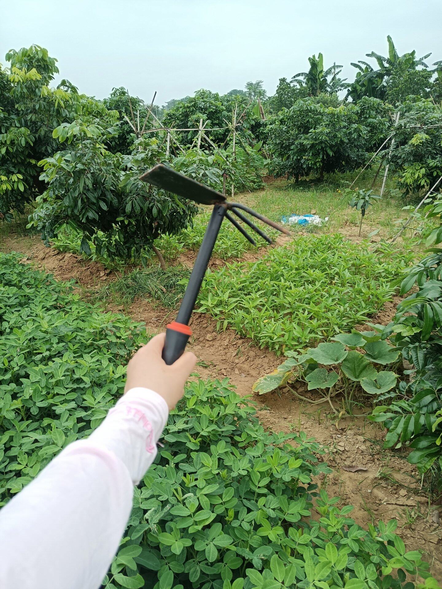 今天是劳动节，干就完