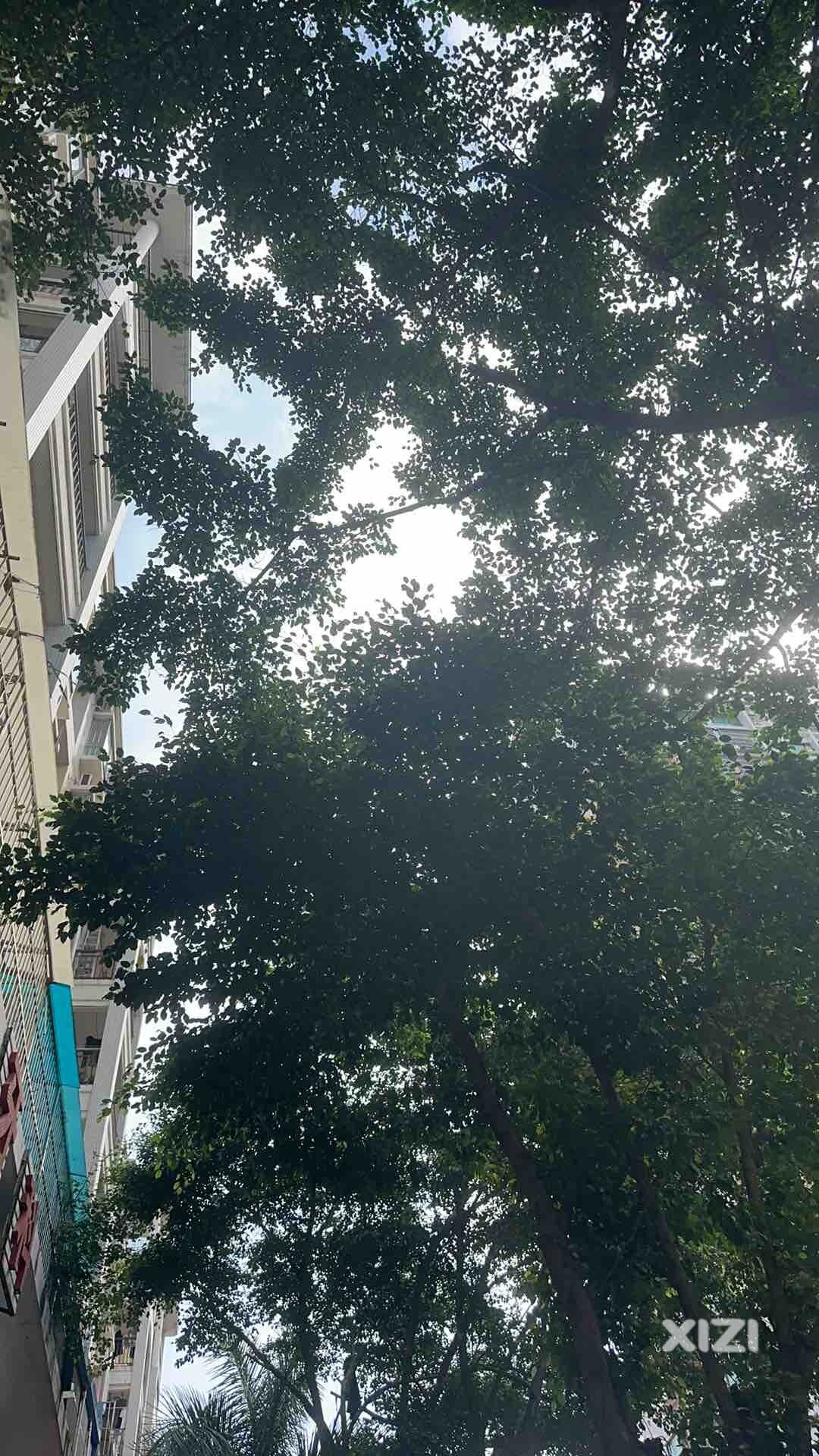 仲恺发出很大的爆炸声咋回事