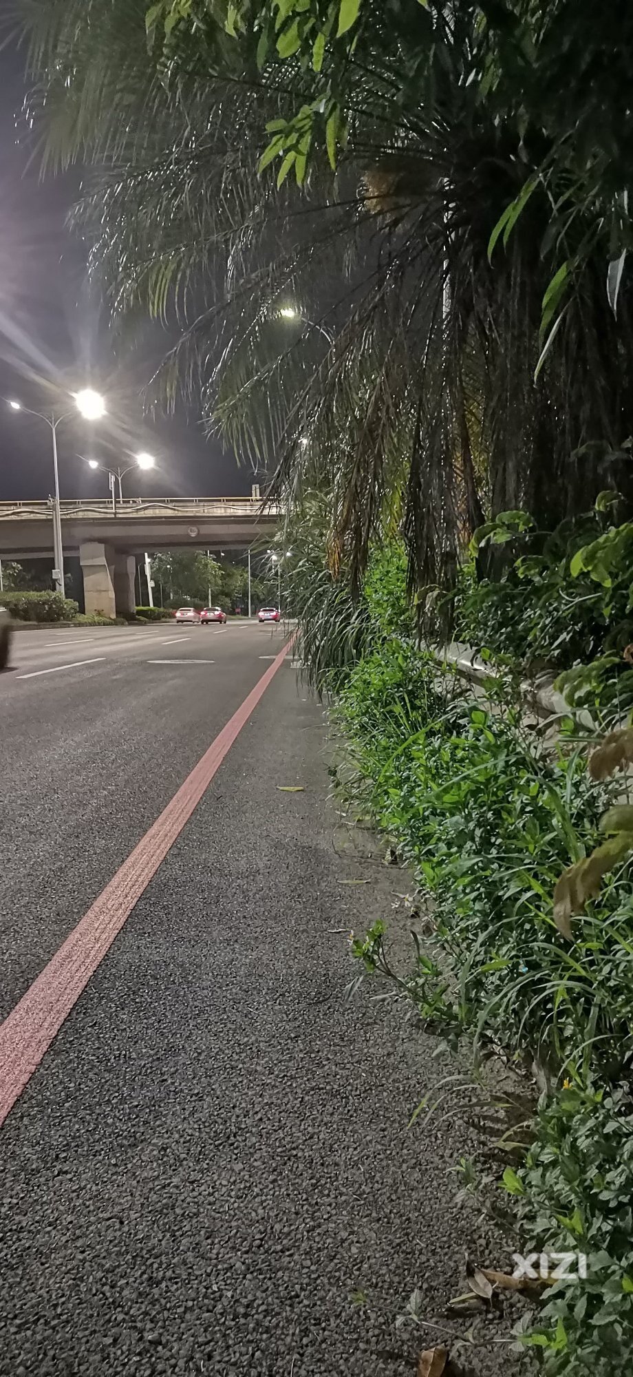 金山汽车城附近这个立交桥下面的绿化该修剪一下了吧。。