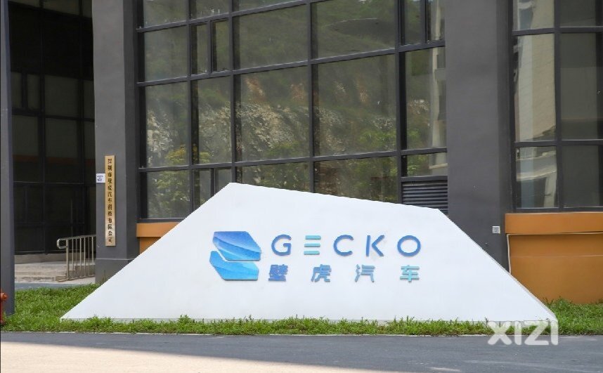 惠东吉隆旁深汕特别合作区壁虎汽车，研发新能源科技创新和突破