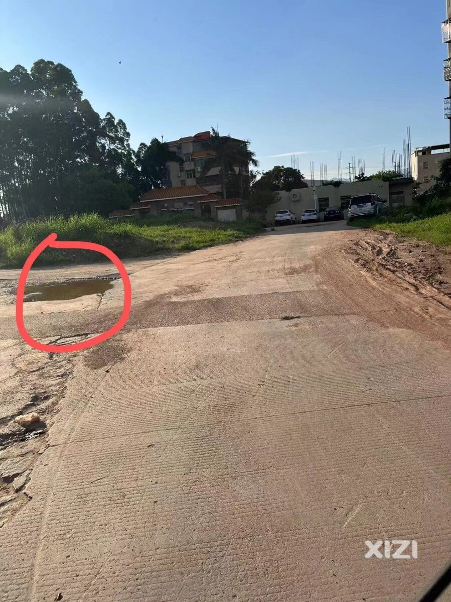 早上路遇不文明车主