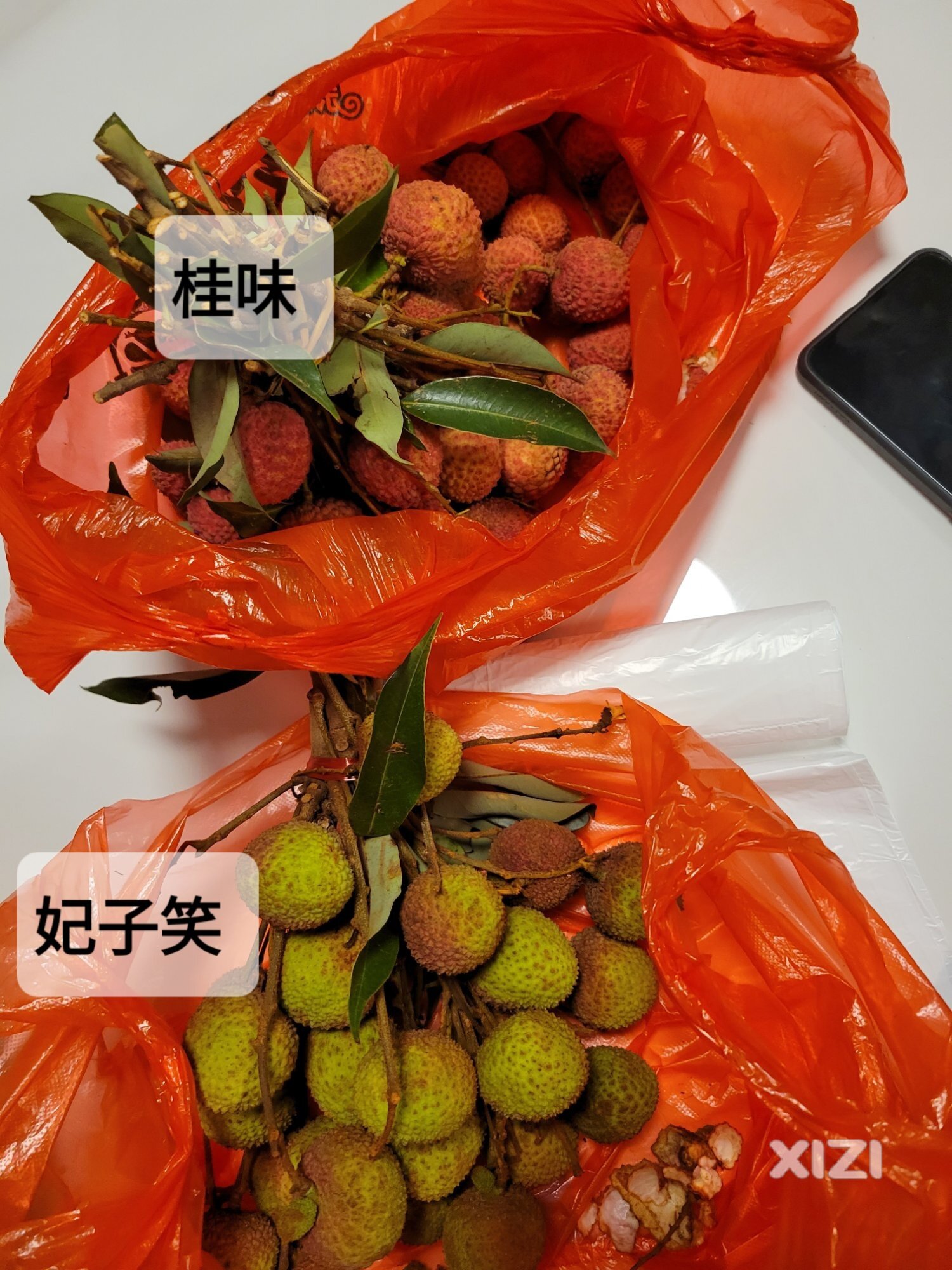 日啖荔枝三百颗
