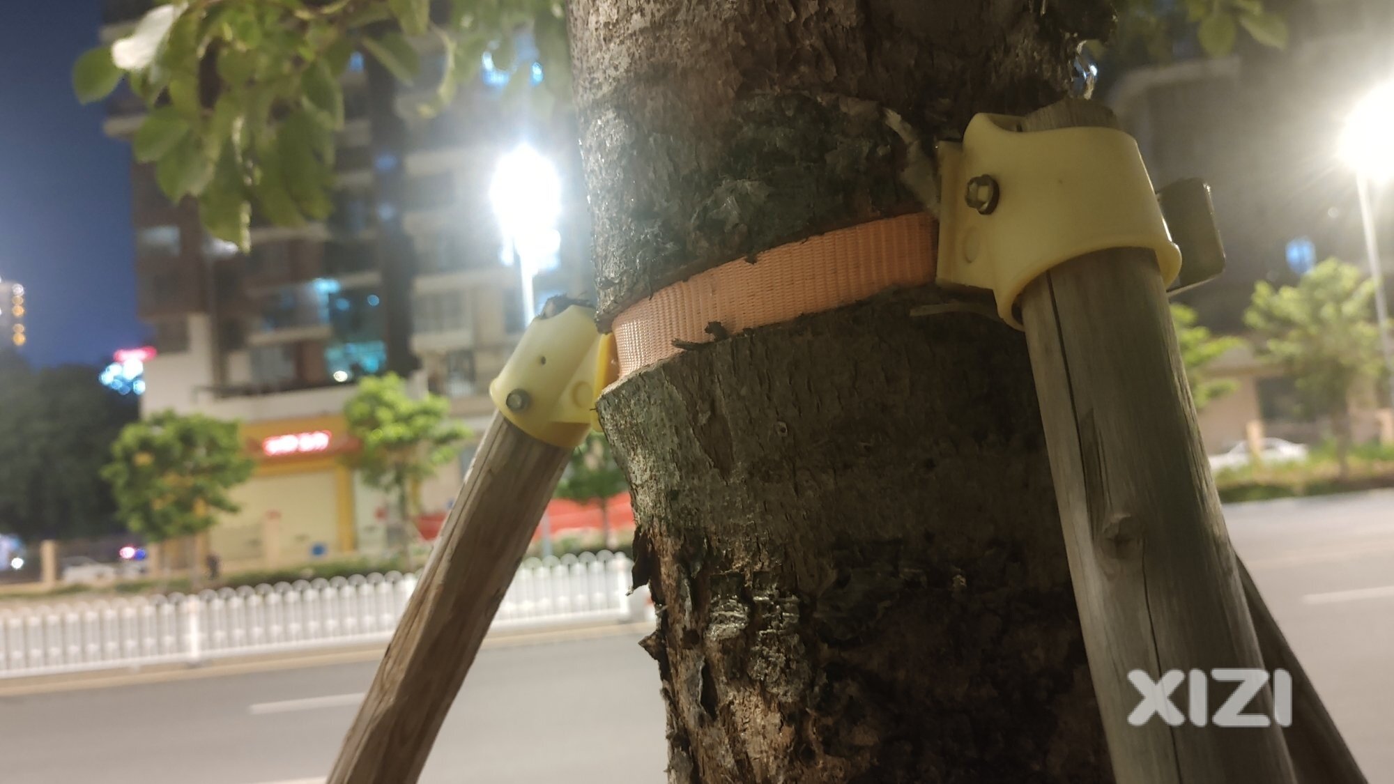 爱民西路边上的树快被勒死了。