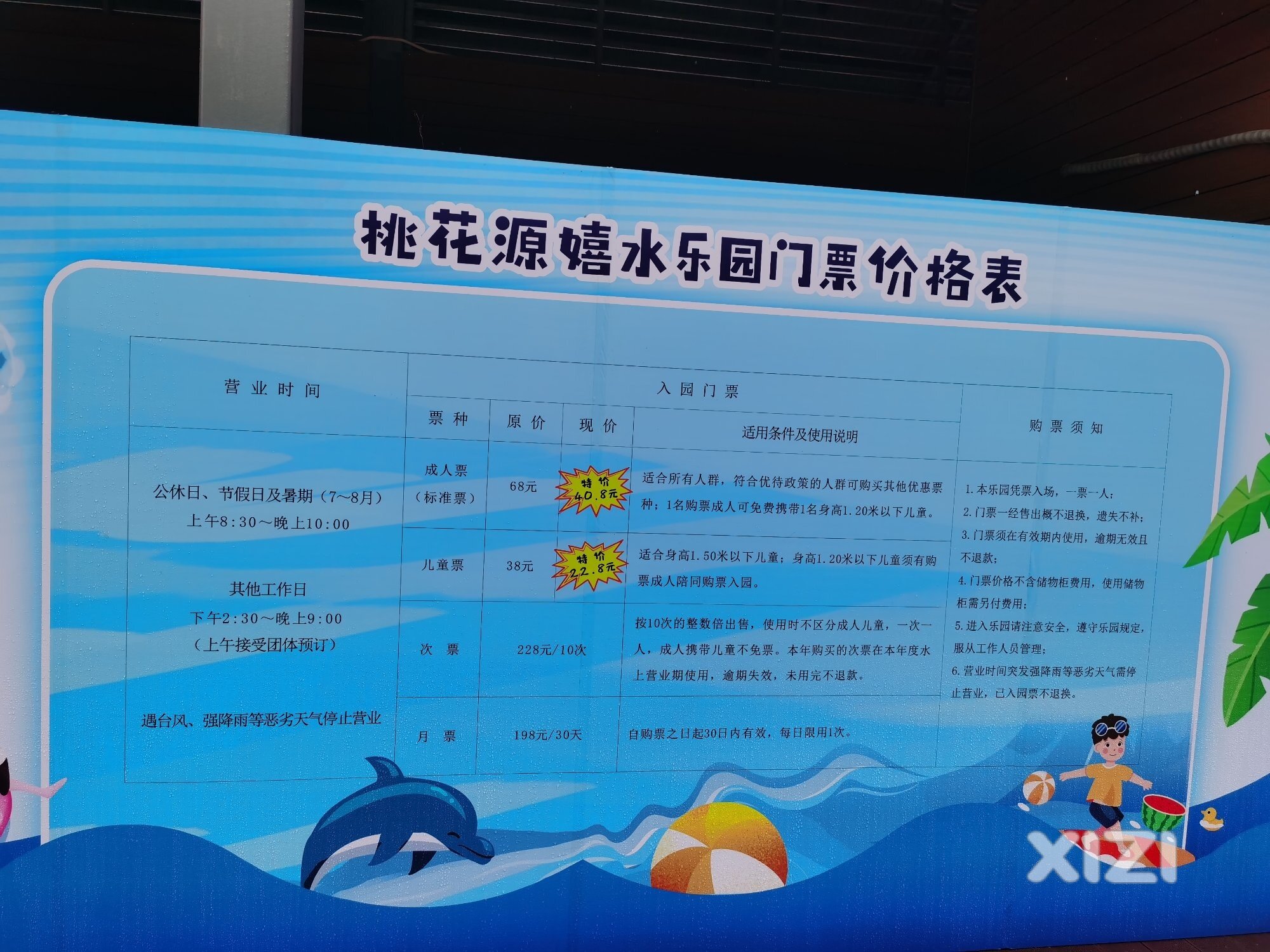 特价、特价、桃花源泳池特价了！