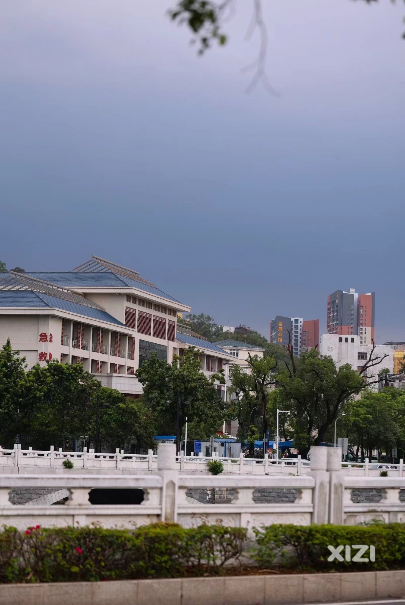 雨前，雨中。