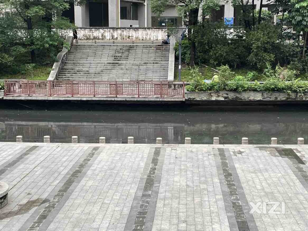 金山河清澈见底鸟语花香