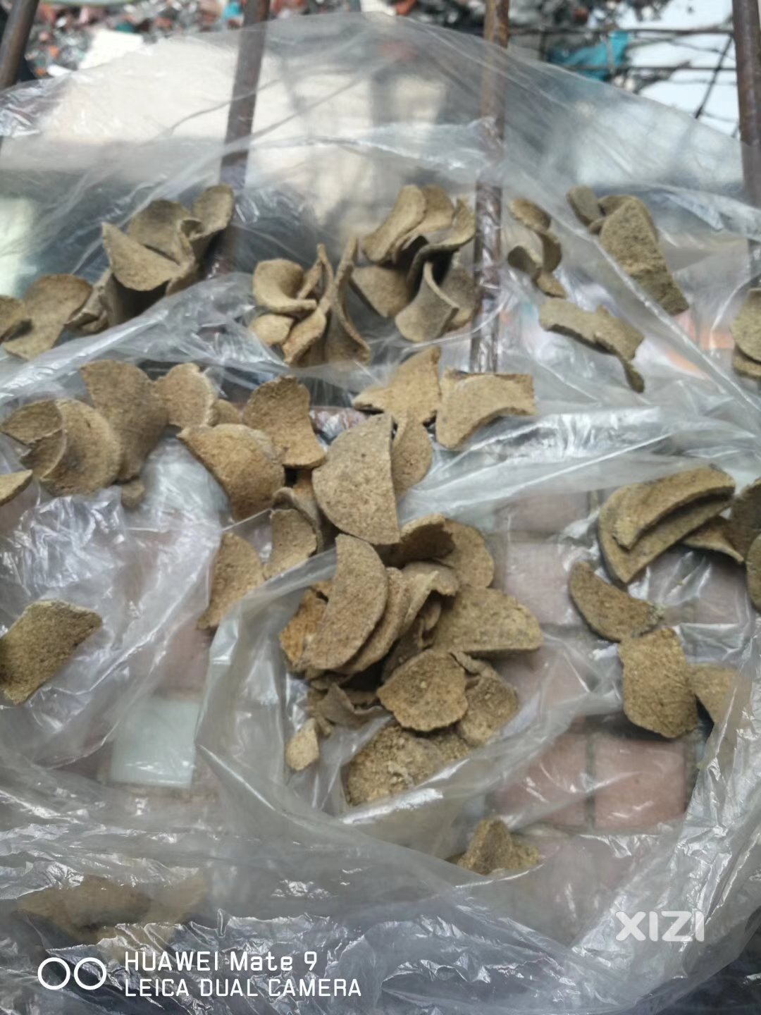 满满的干货，收获不小