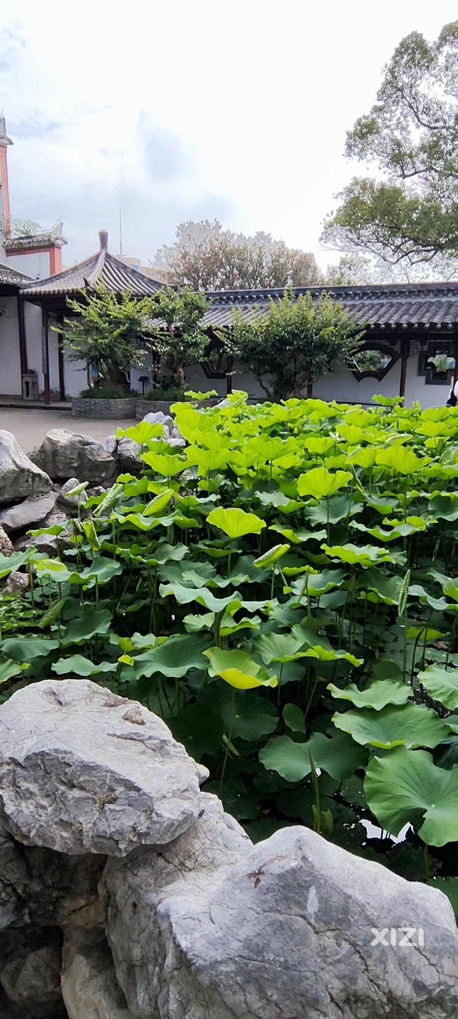 大家上班会“摸鱼”多吗？