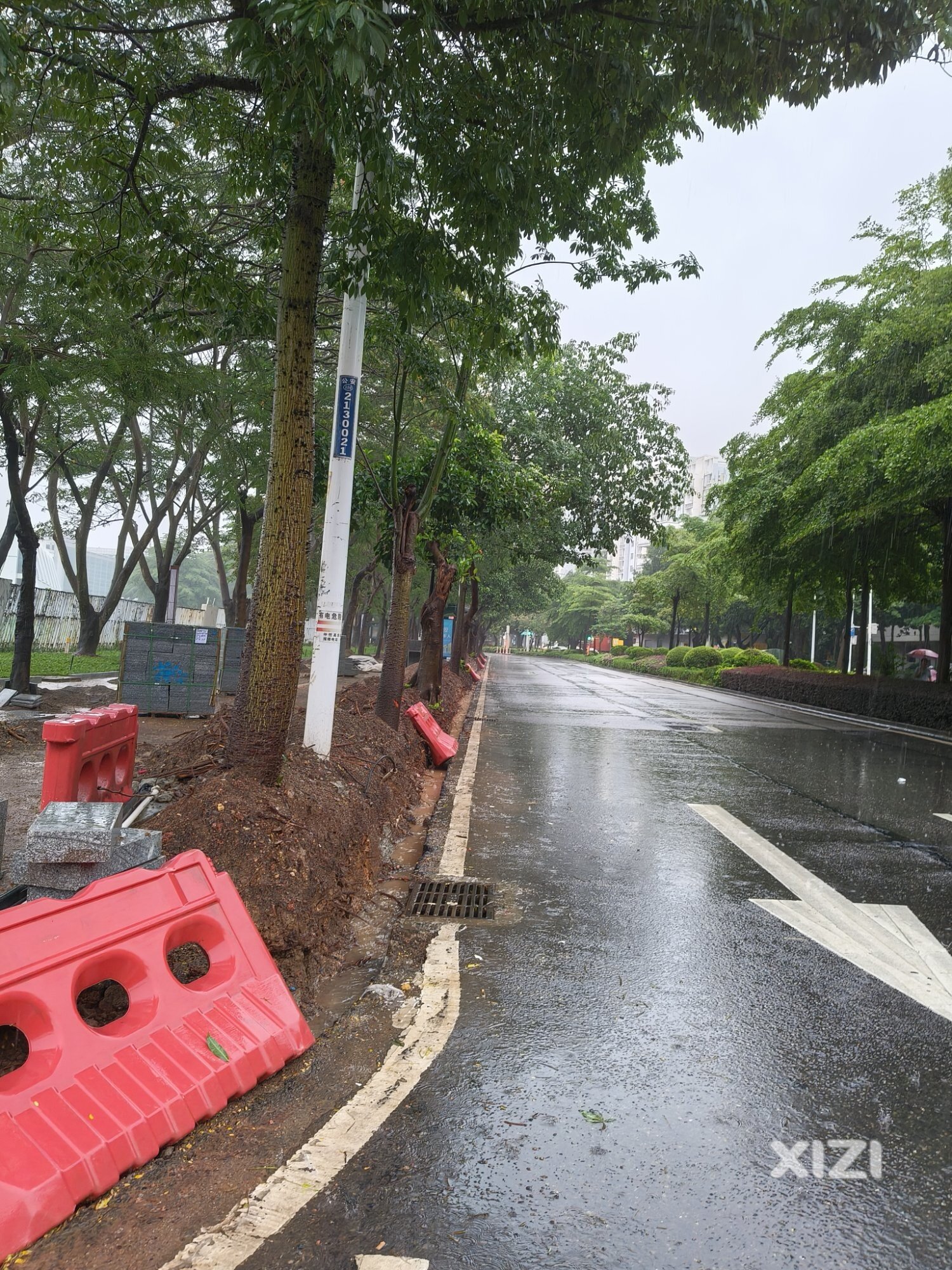 树又、又倒啦！