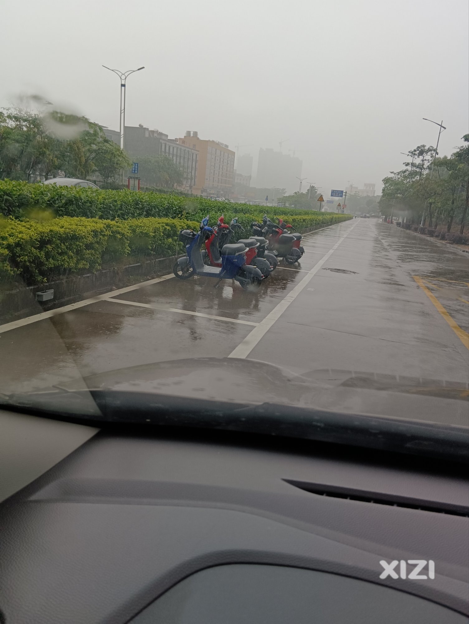 泰园共享电单车？