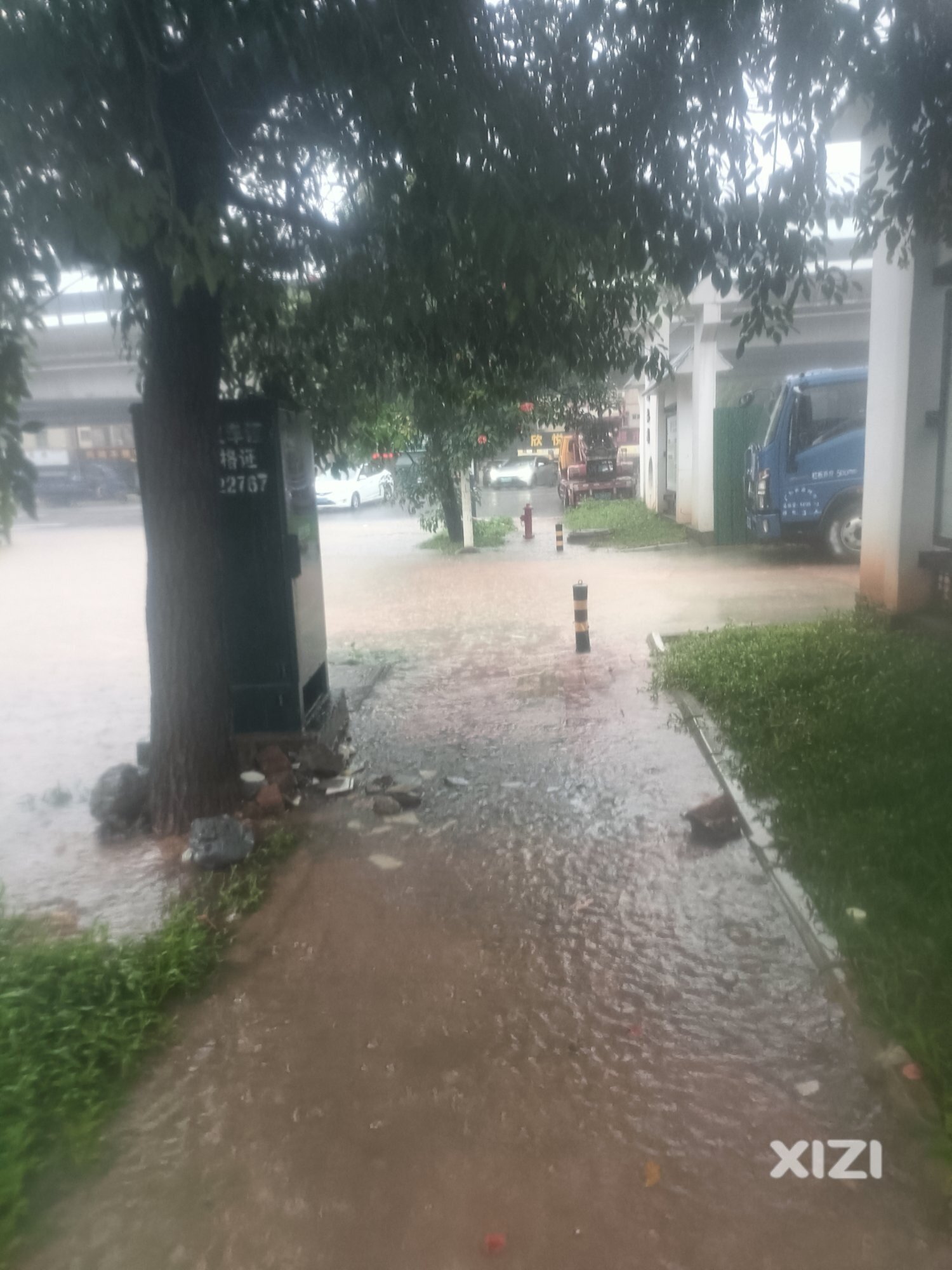 金龙大道积水严重