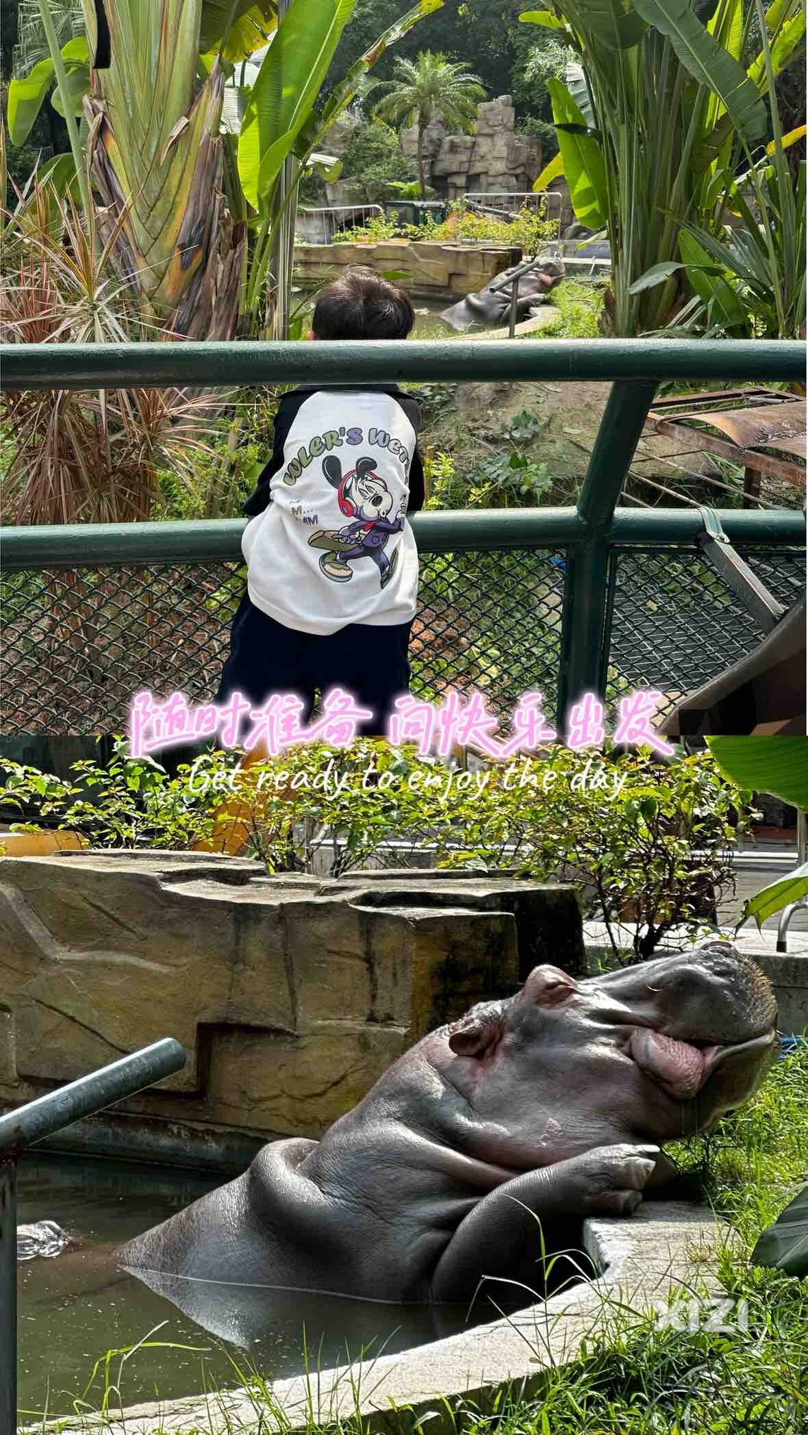 打卡广州动物园大宝好开心