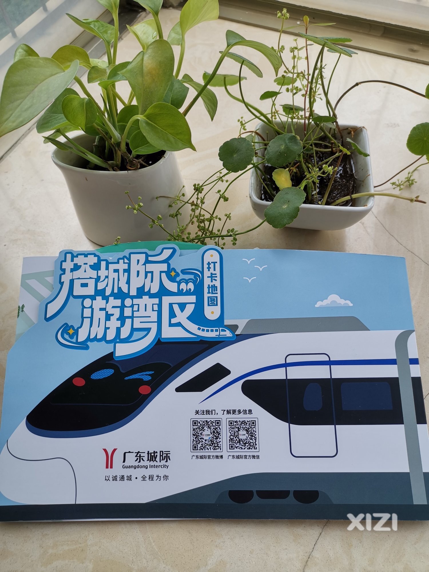从大城际打卡地图看惠州宣传短板