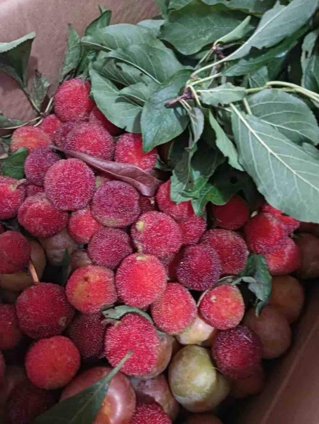 临近端午佳节  季节美食