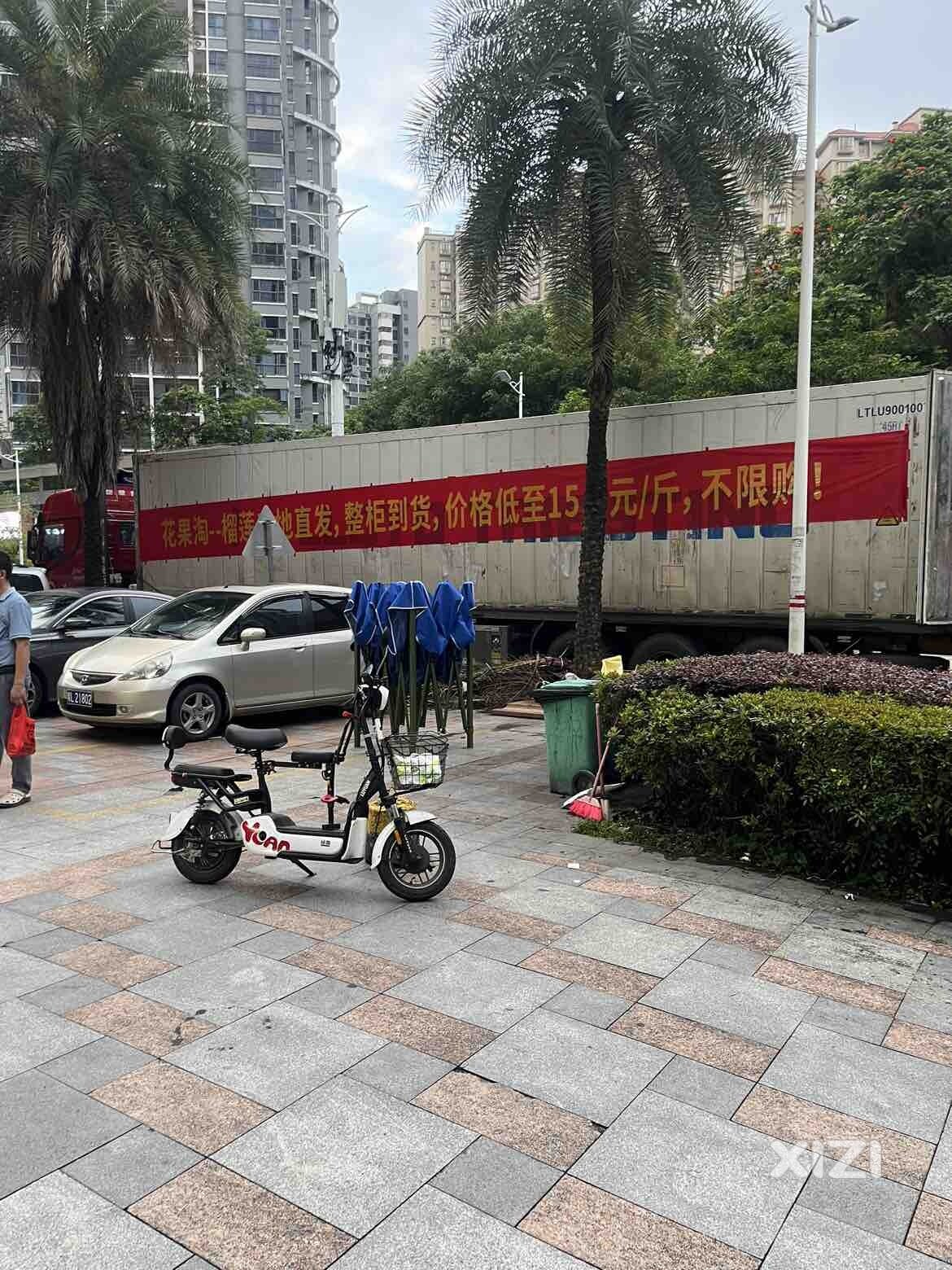榴莲真的便宜了吗？