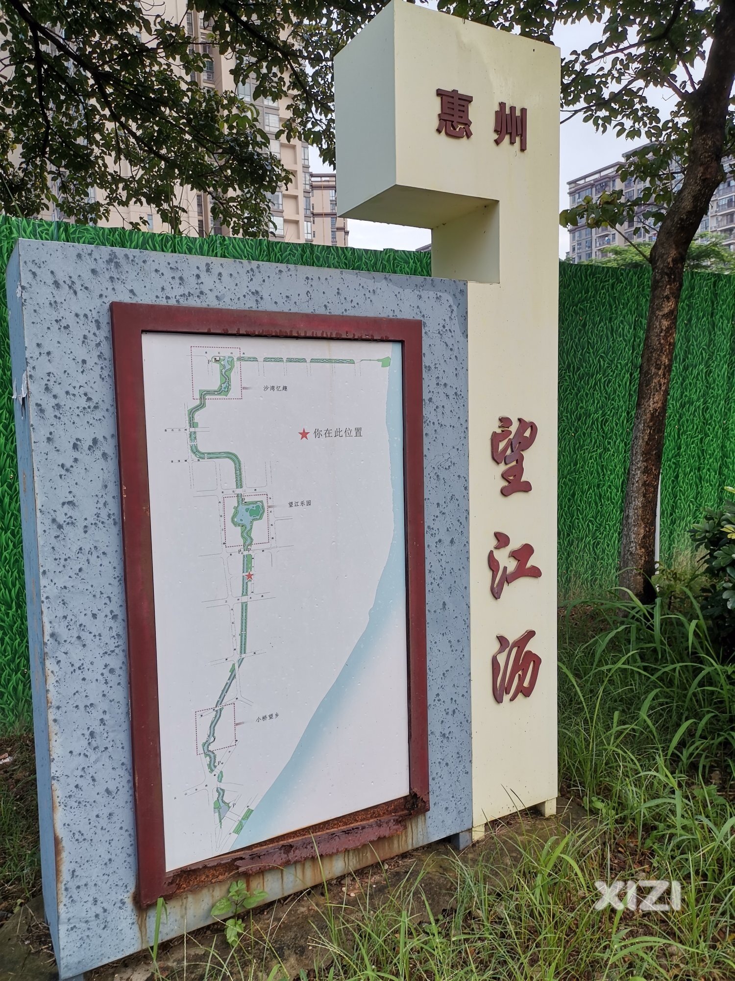 江北望江沥公园下游水体发臭
