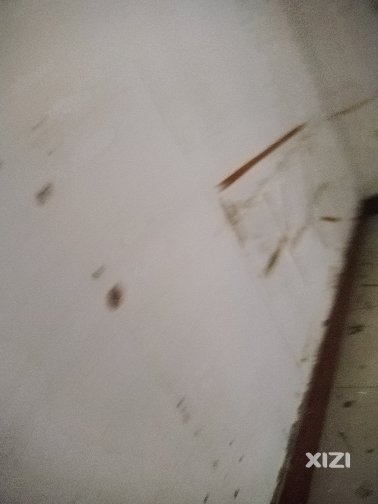 分享翻新房开始第一天