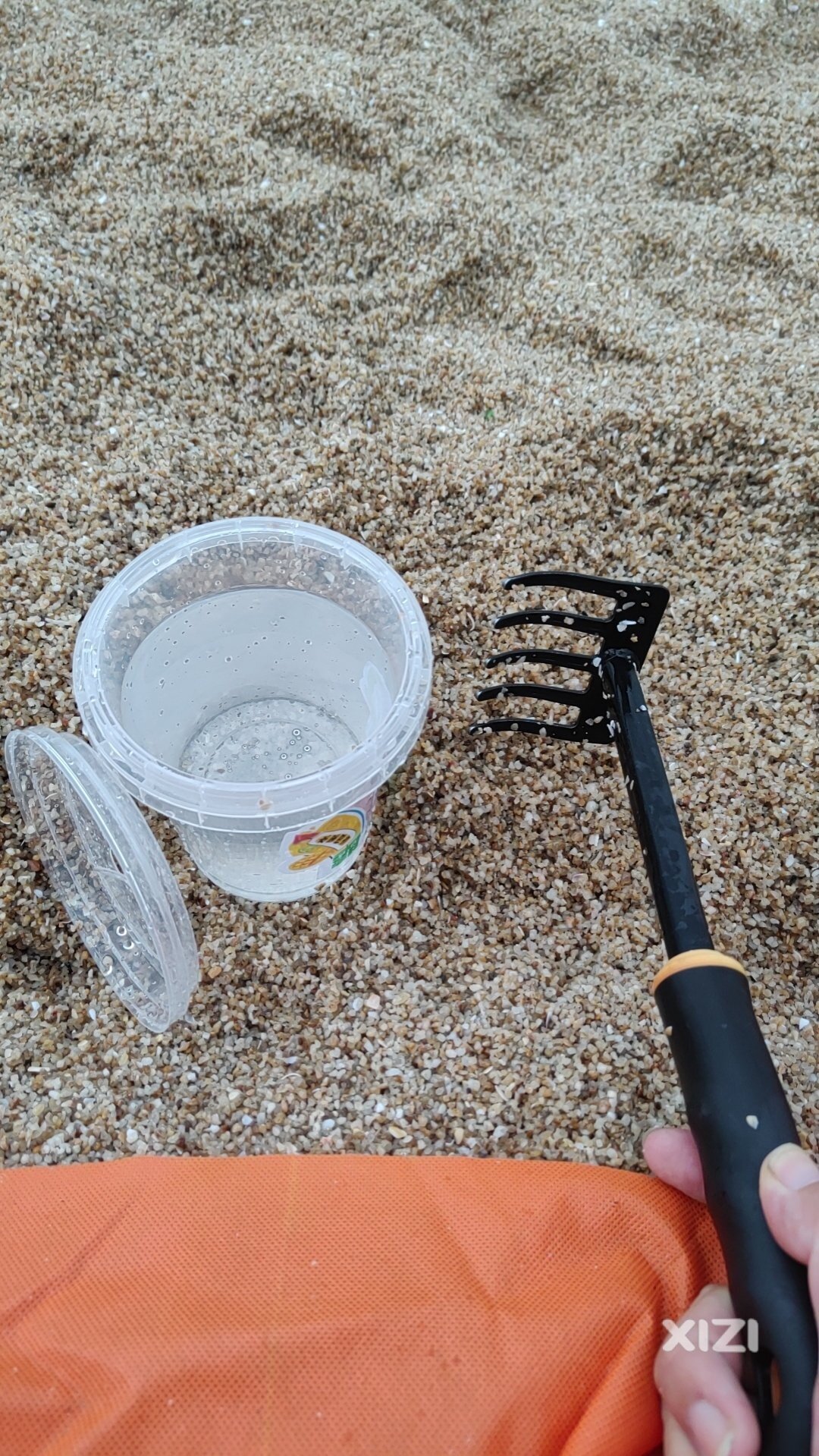 六一儿童节 久违了沙滩