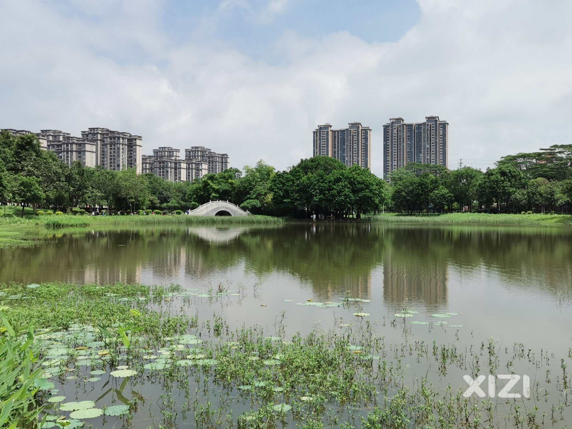 周末江北望江公园很多小朋友在钓、捞鱼鱼