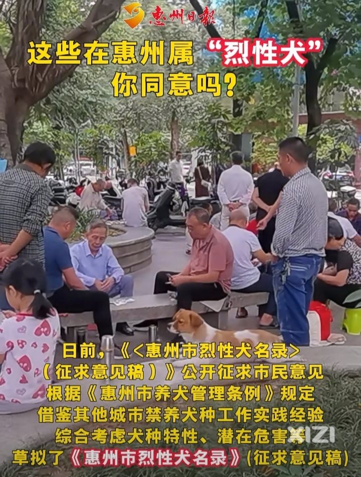 征求意见！惠州拟禁养这39种烈性犬