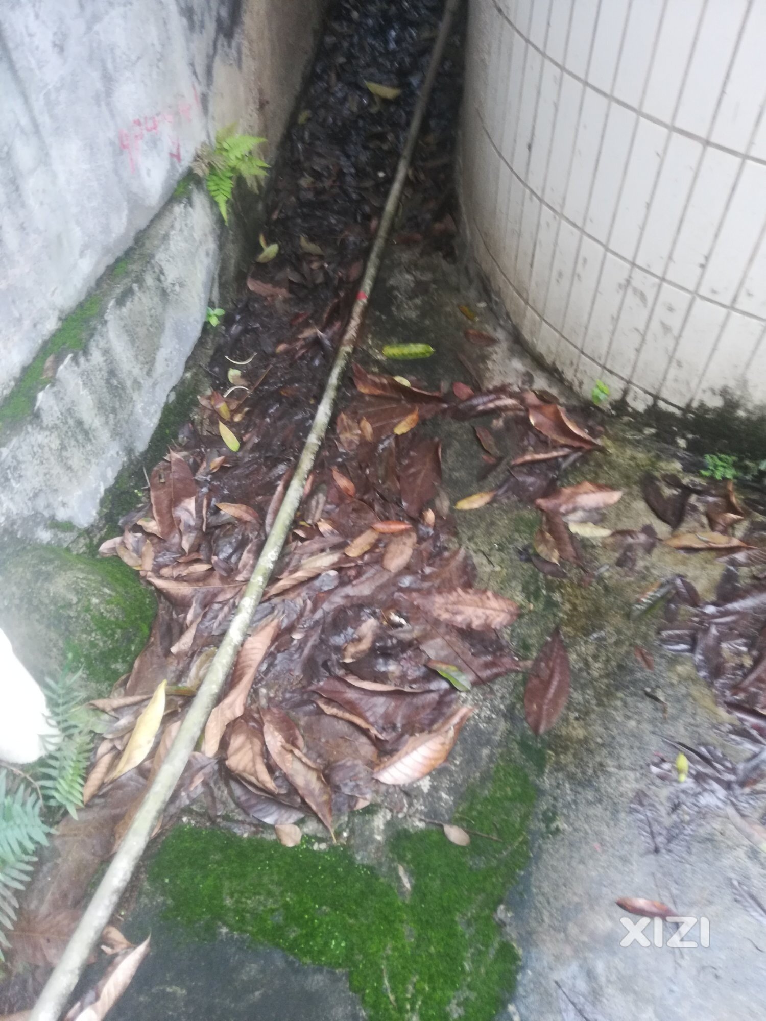会种就要会清理！