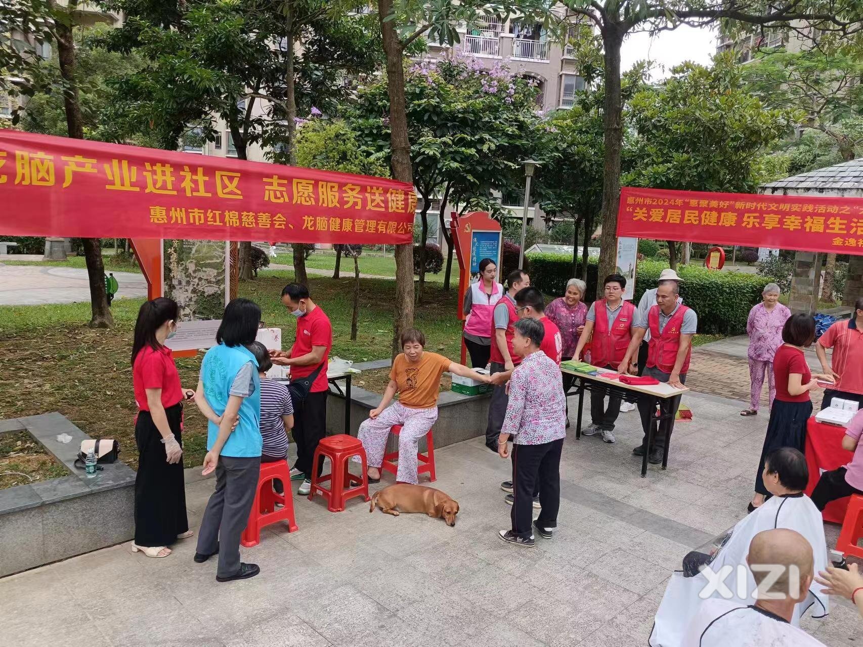 龙脑产业进社区，志愿服务暖人心