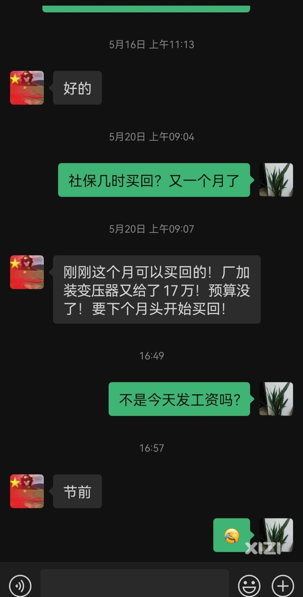 嗐哦