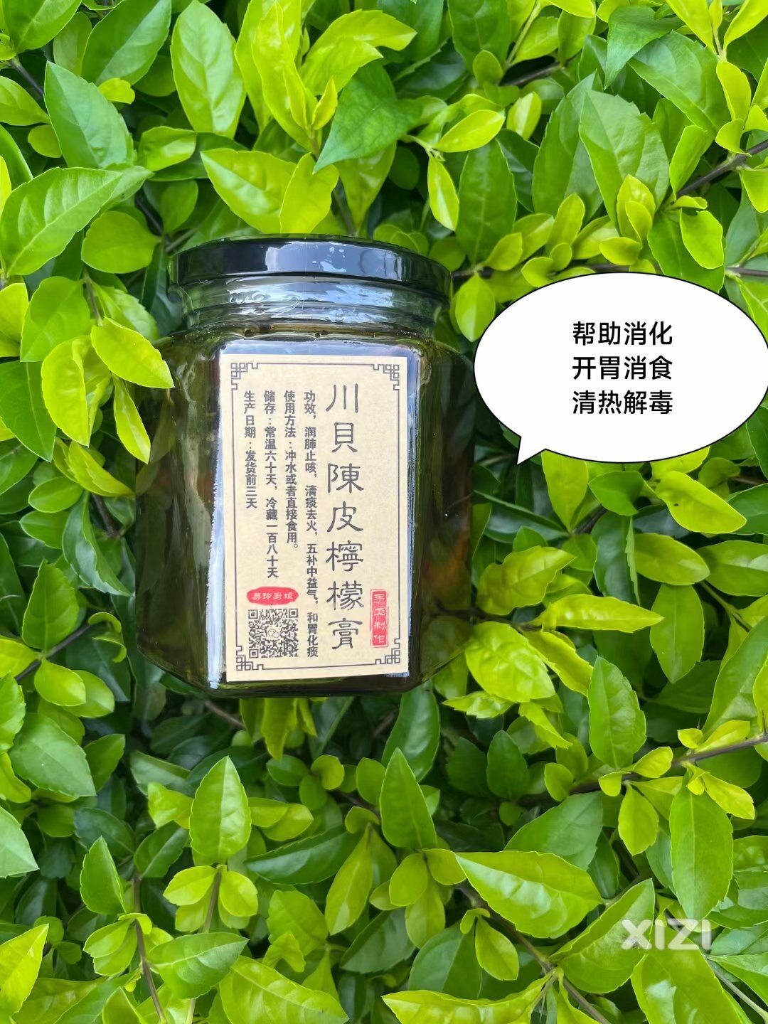 端午送礼可选它