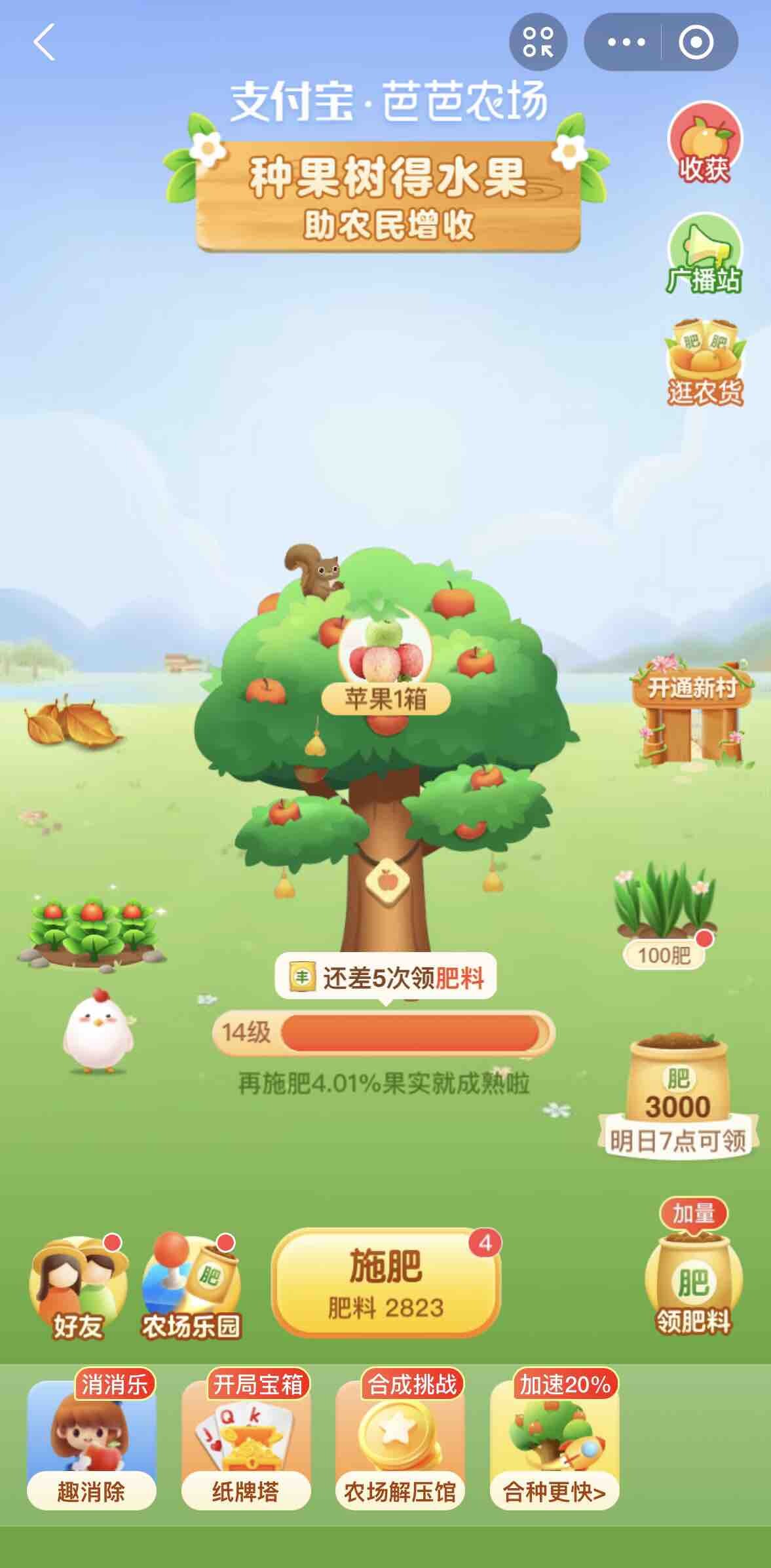 苹果熟了