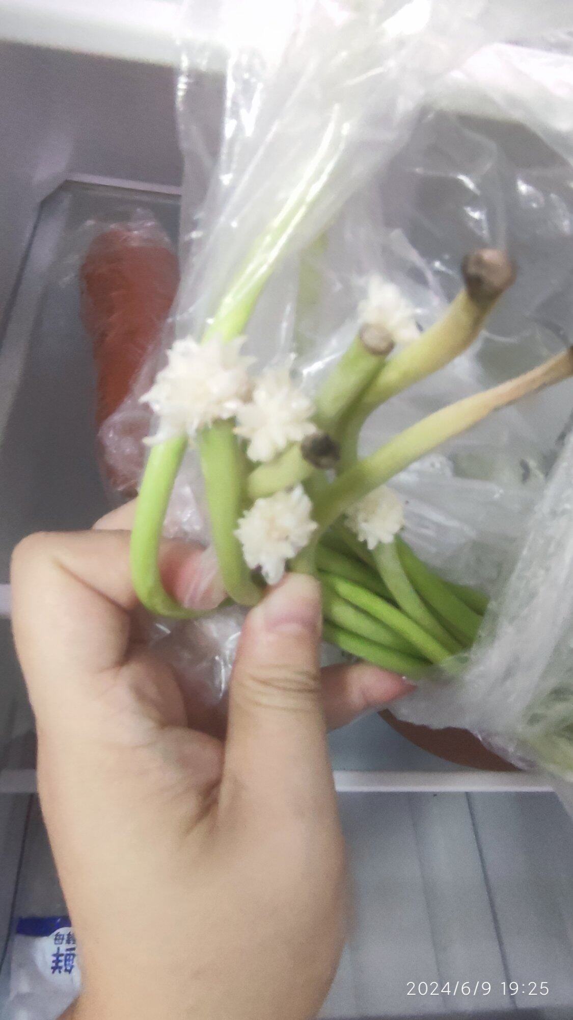 冰箱的生态系统