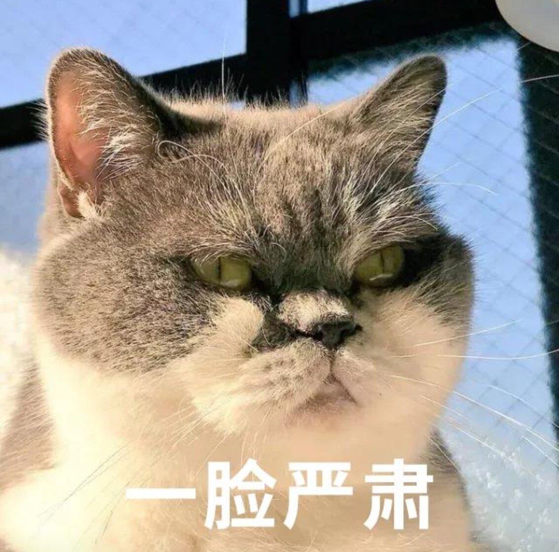 不许搜辽宁龙舟队