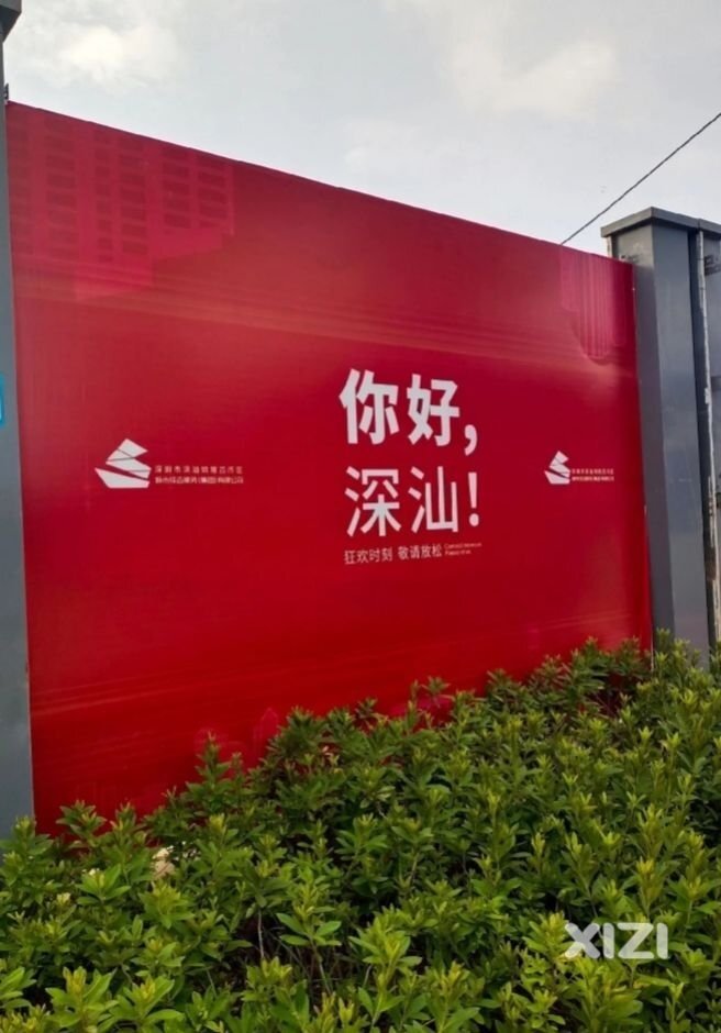 感受到充满阳光的地方