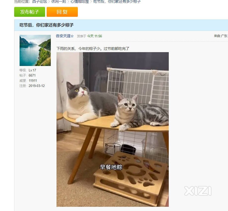 不敢说了，又被塞了一筐粽子