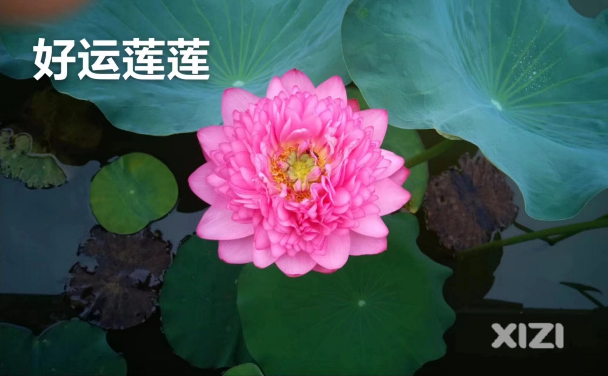 想问问惠城区哪里招暑期工呢？