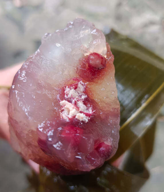 有多少吃甜粽？
