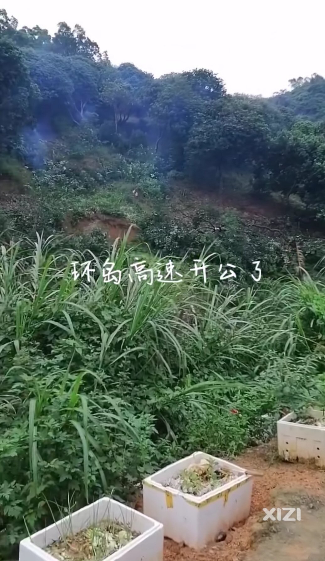 惠东半岛环岛高速吉隆段也开工建设了。那全线都已动工建设中了。