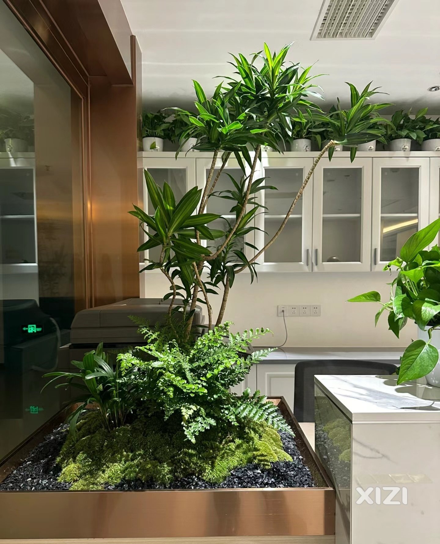 户内绿植造景—办公室篇