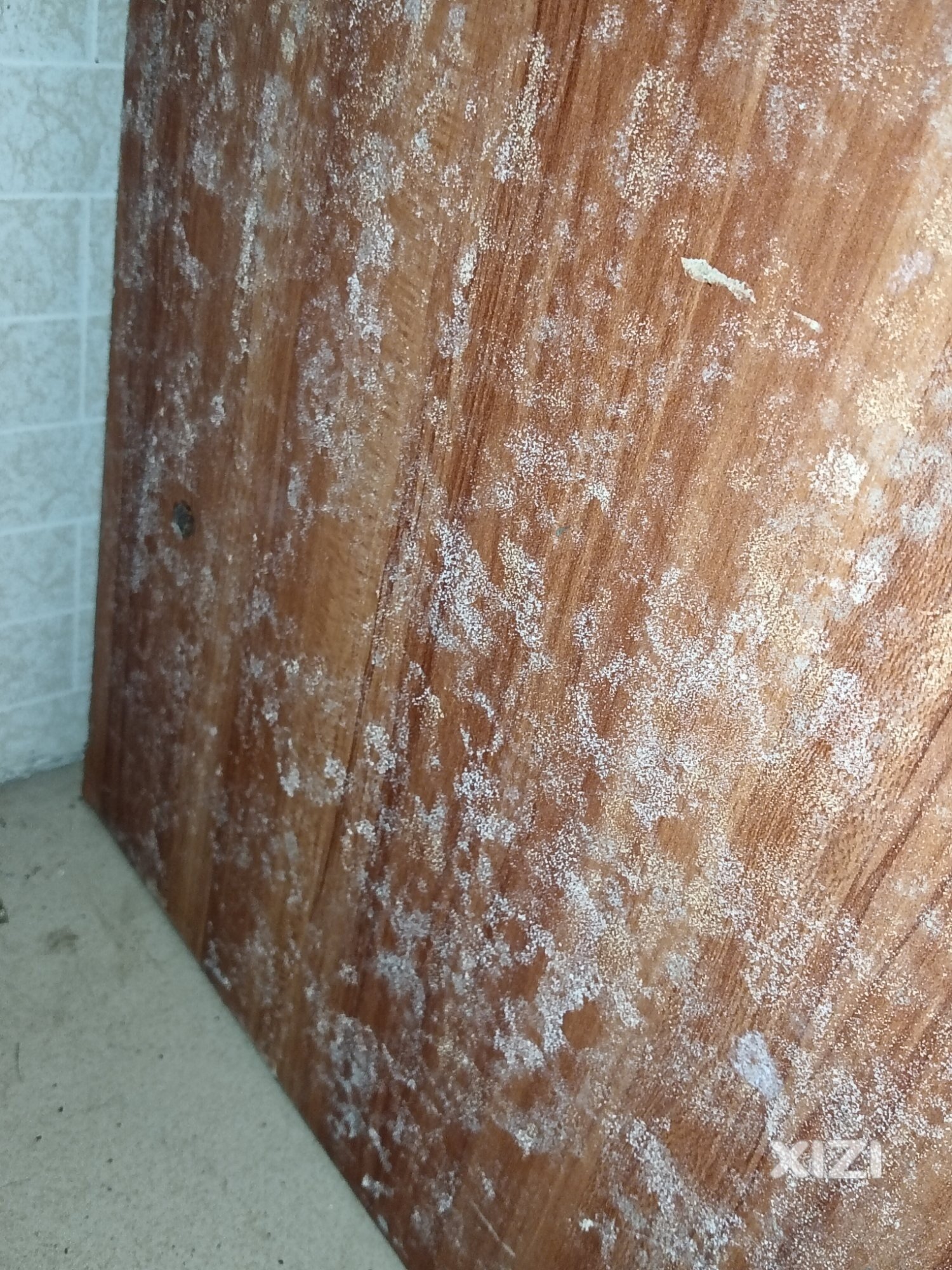 好可怕的样子，，，，