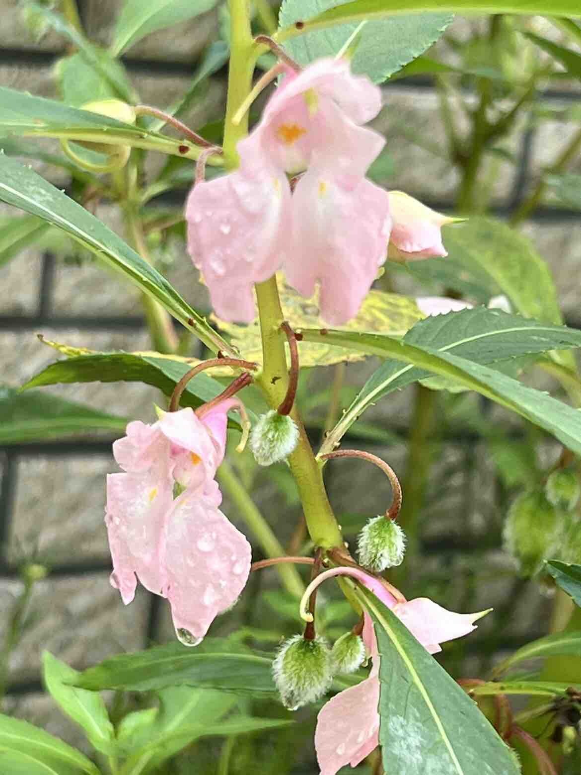 每个节假日吃什么不重