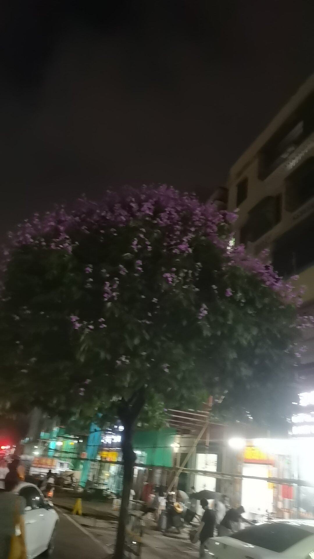 "无论什么关系，在一