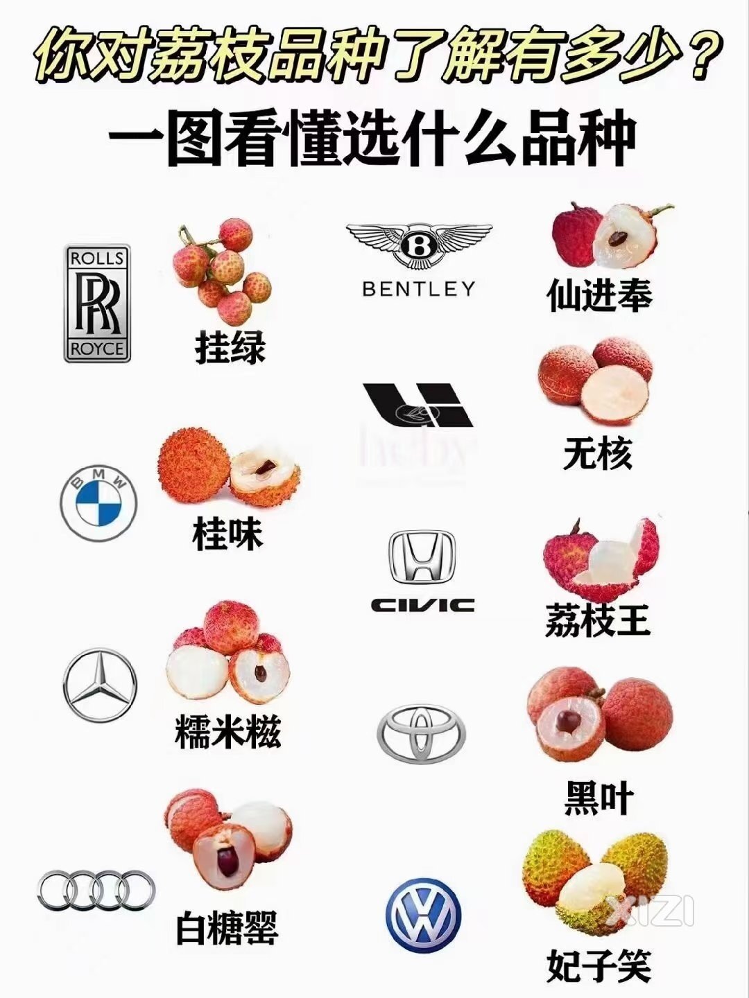 现摘荔枝推荐