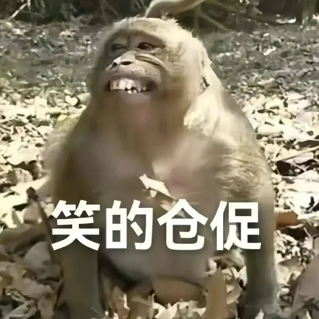 人生总会有遗憾。